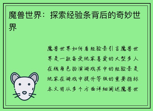 魔兽世界：探索经验条背后的奇妙世界